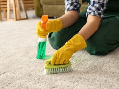 Carpet Cleaning Services professionals working