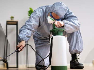 Termite Treatment professionals working