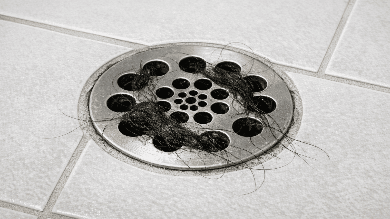 Close-up of a shower drain cover with visible hair buildup around and inside the openings, white bathroom tile background
