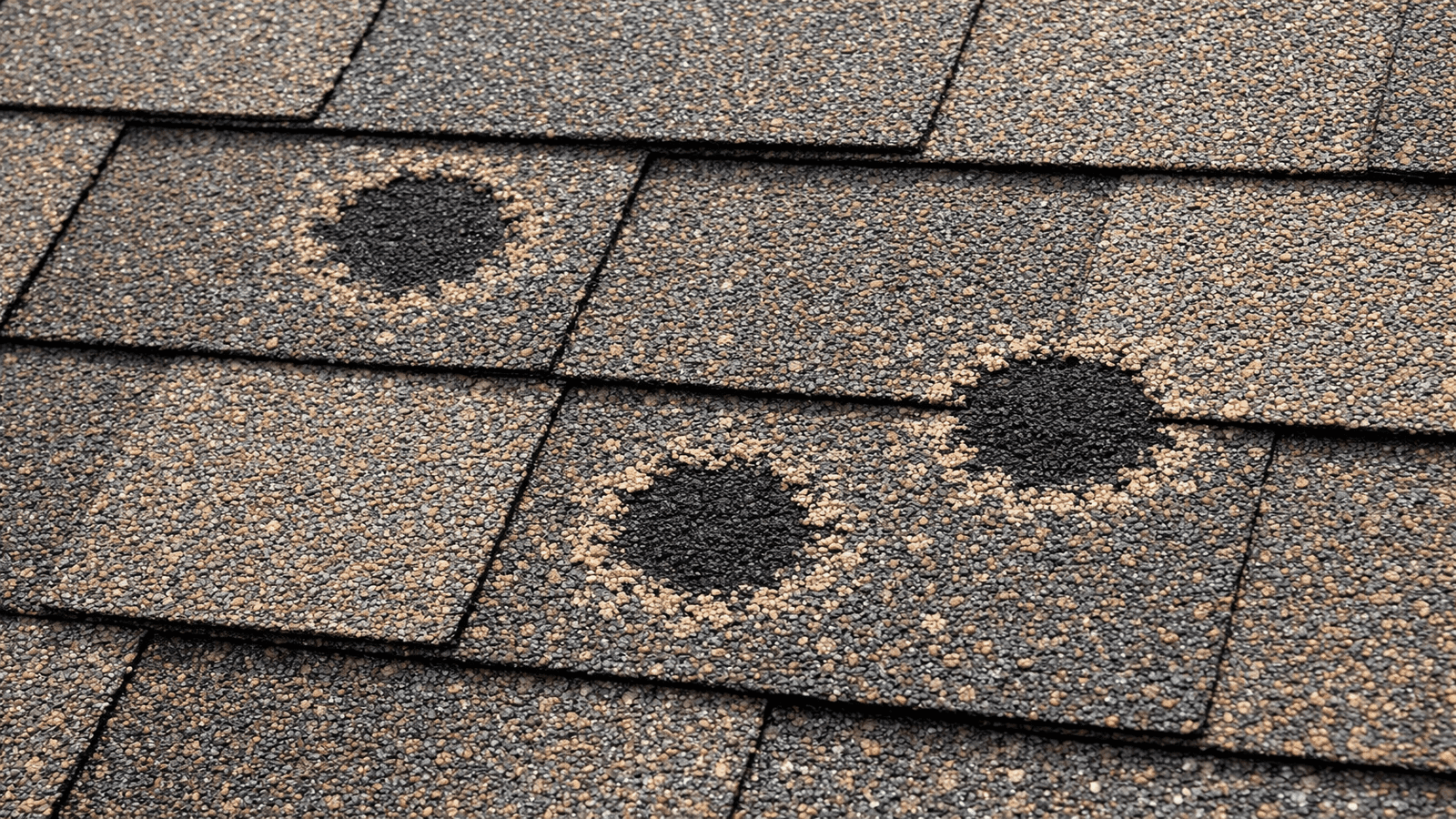 Fall Roof Maintenance: Winter Preparation Checklist 2026