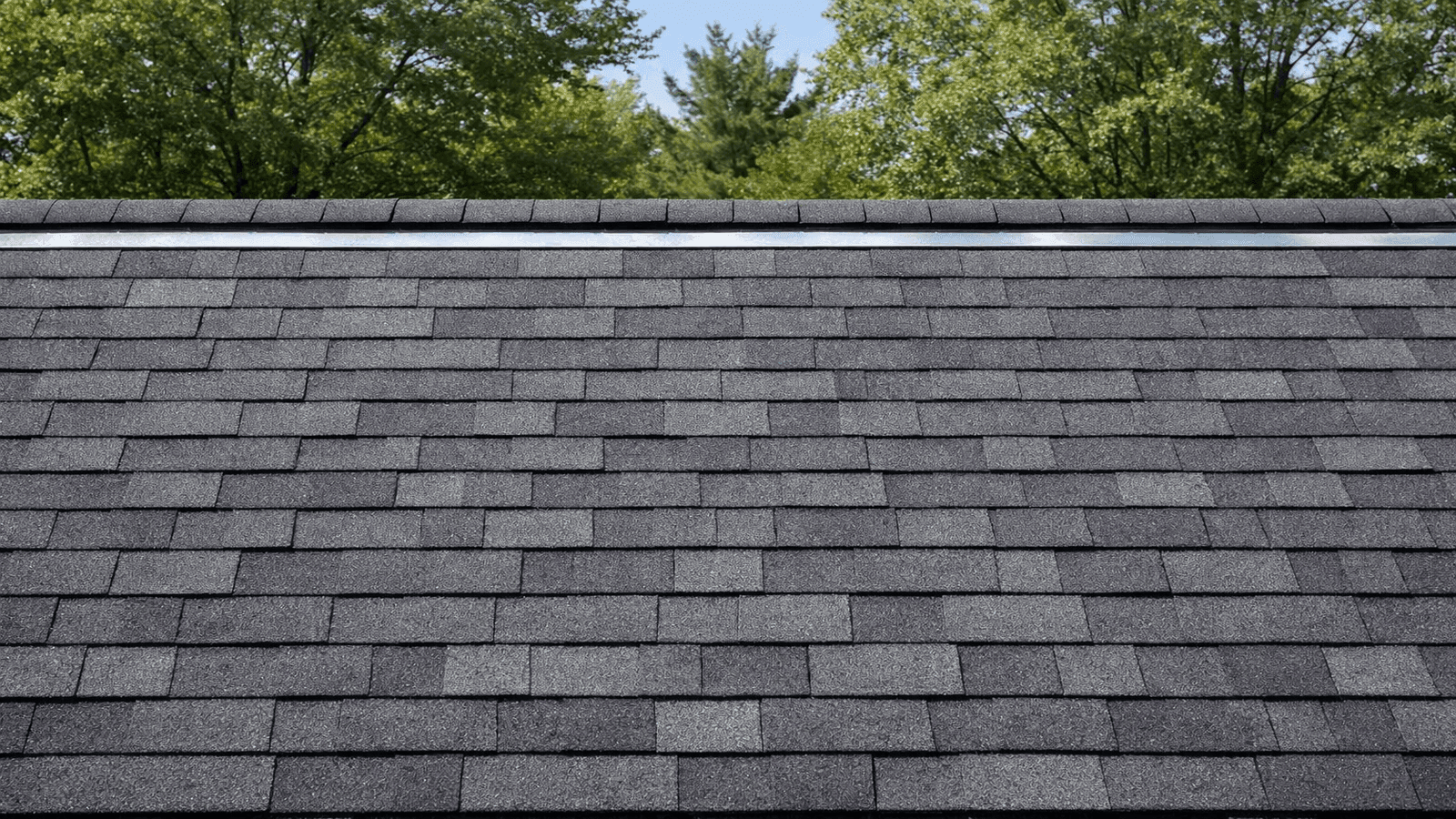 A clean asphalt shingle roof with clear ridge-line zinc strips installed, showing no moss or algae growth on a north-facing slope with partial tree canopy