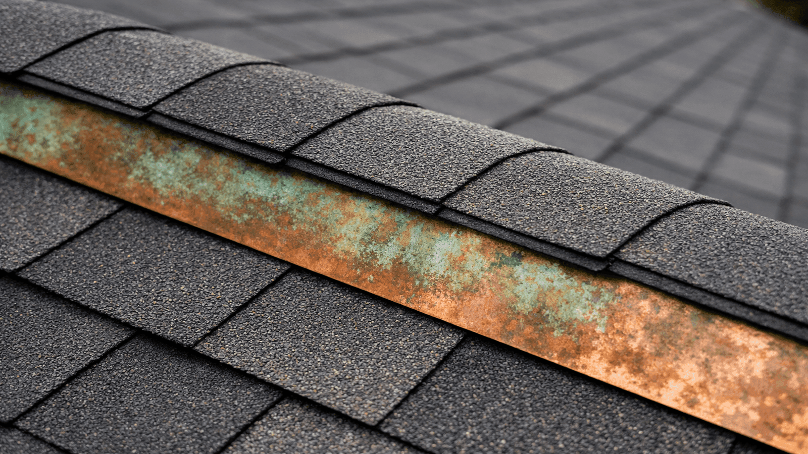 Roof Moss Prevention: Stop Growth Before It Starts 2026
