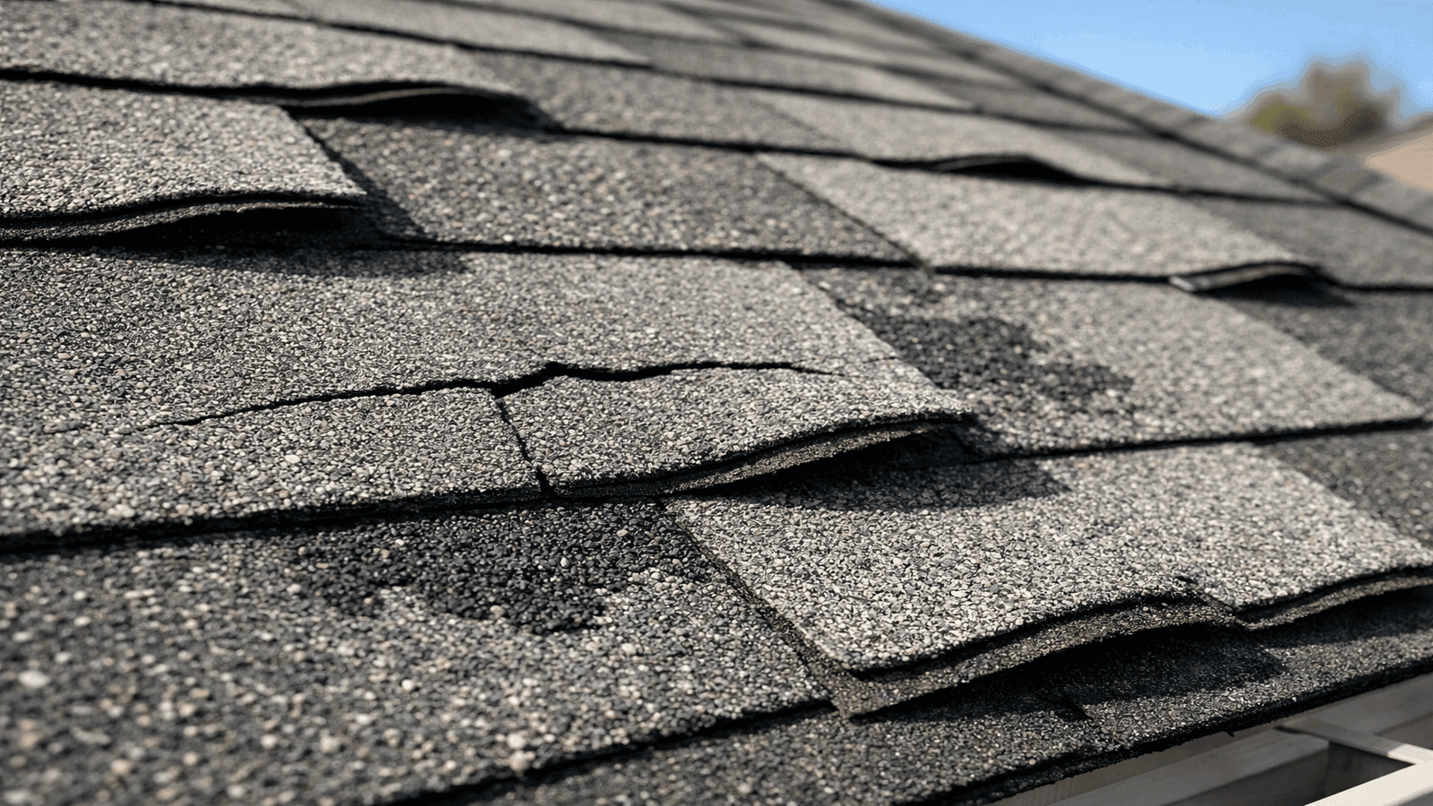 Close-up of asphalt shingles showing curling edges, granule loss, and cracking after winter weather stress, typical findings during a spring roof inspection