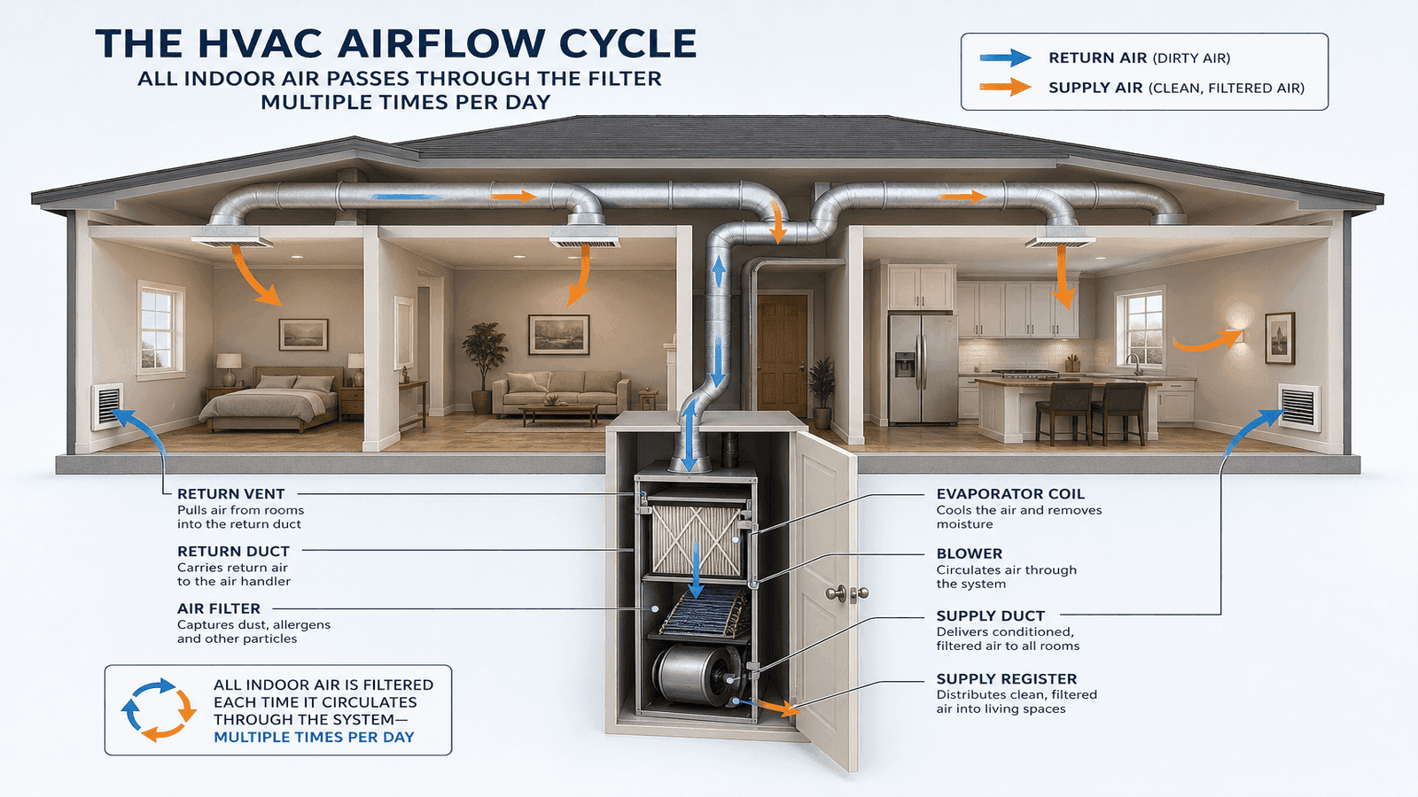 Cutaway diagram of a residential home showing HVAC airflow cycle with return air pulled through ducts and filter in the air handler then distributed as clean conditioned air through supply ducts and registers into living spaces.